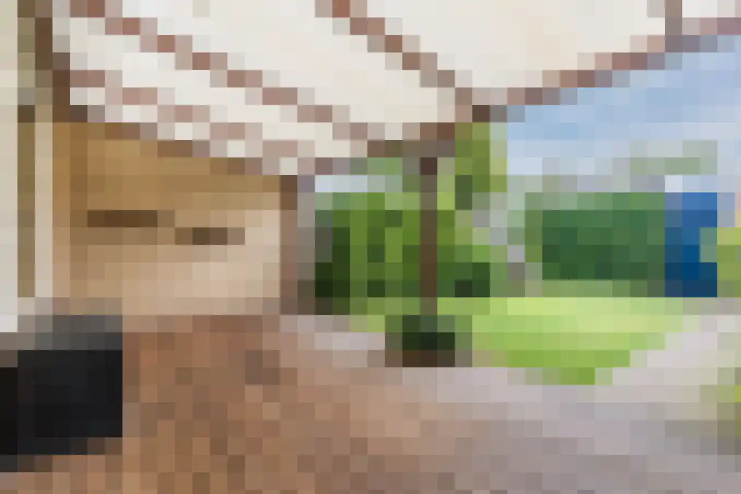 Hazelaar 27 Geldrop thumbnail 47