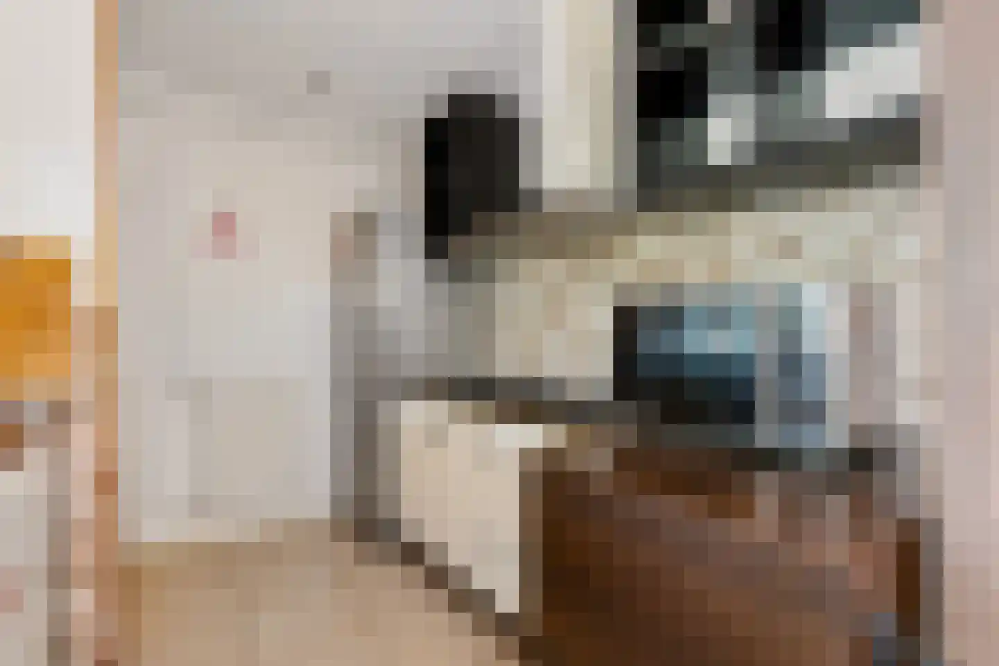 Hazelaar 28 Zeewolde thumbnail 19
