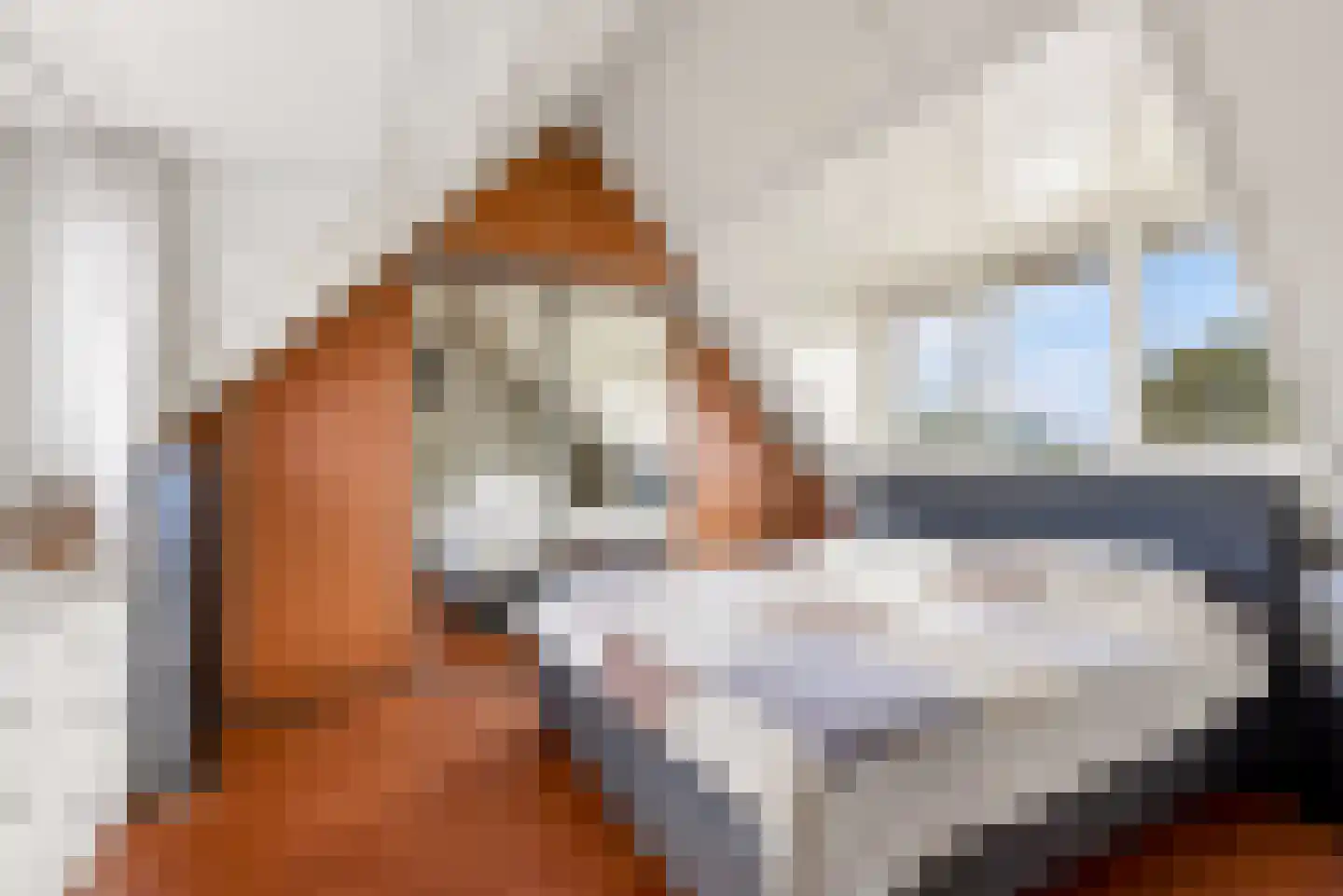 Hazelaar 28 Zeewolde thumbnail 32