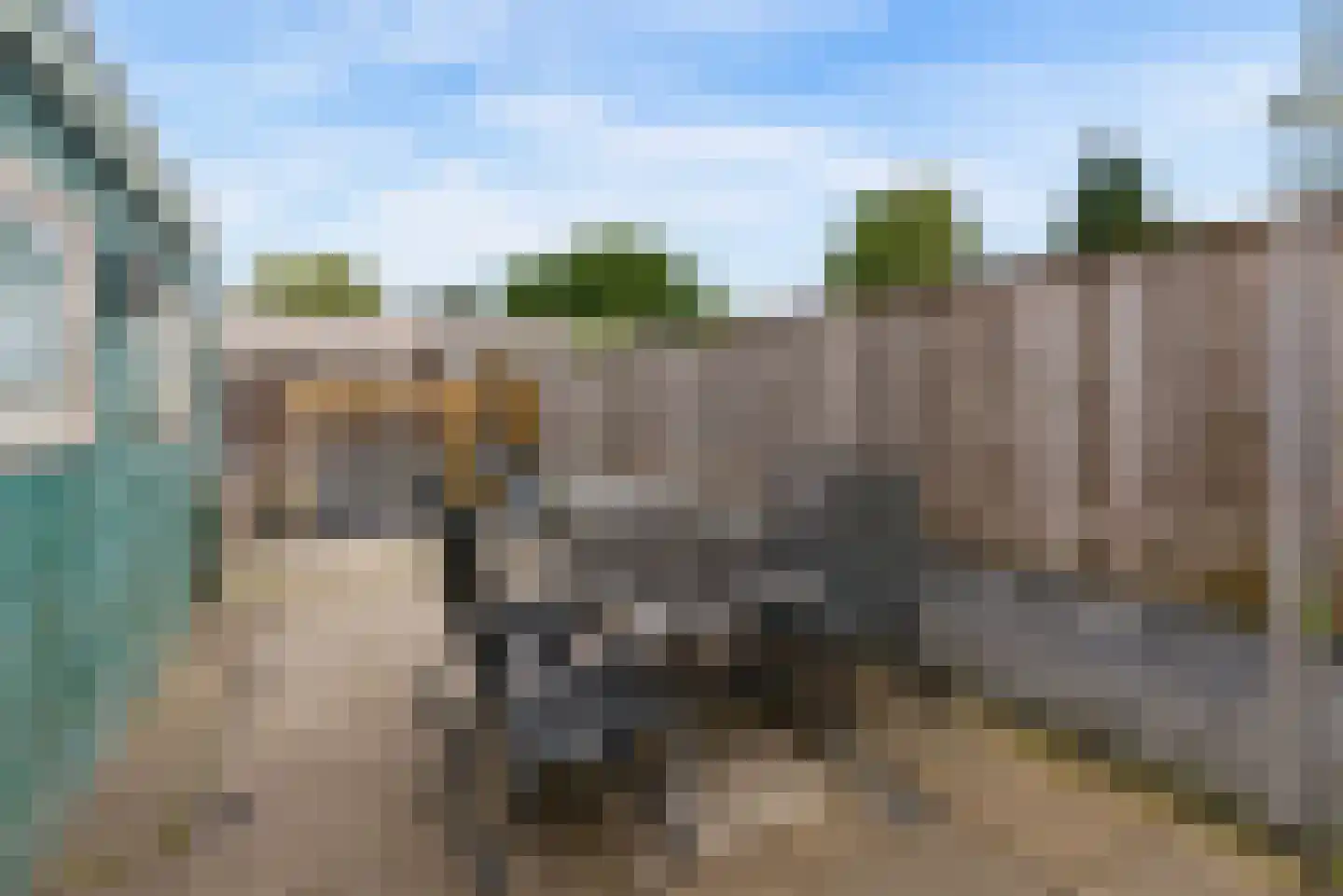 Hazelaar 28 Zeewolde thumbnail 39