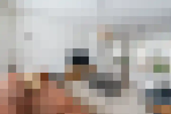 Hazelaar 33 Geldrop thumbnail 11