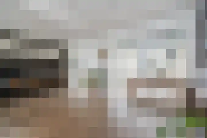 Hazelaar 33 Geldrop thumbnail 12
