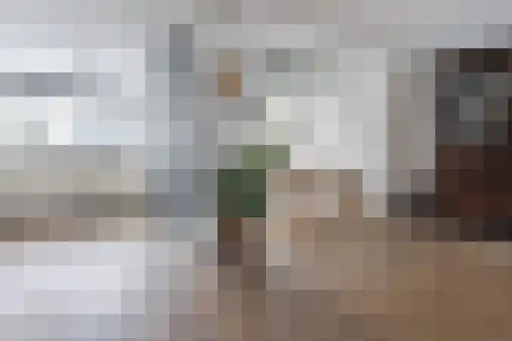 Hazelaar 33 Geldrop thumbnail 14