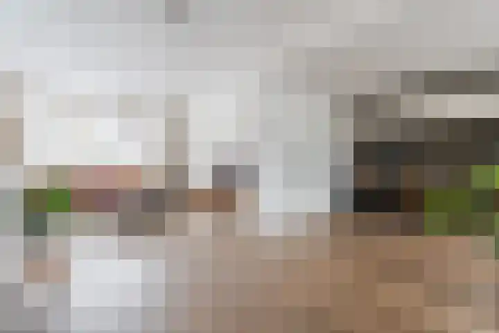 Hazelaar 33 Geldrop thumbnail 17