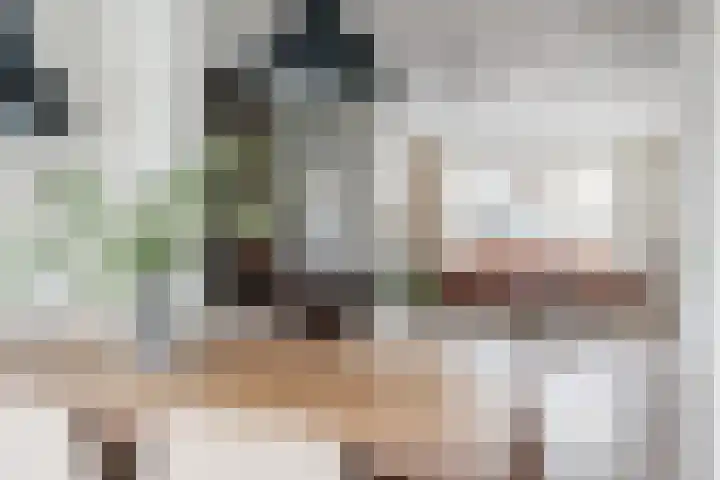 Hazelaar 33 Geldrop thumbnail 18