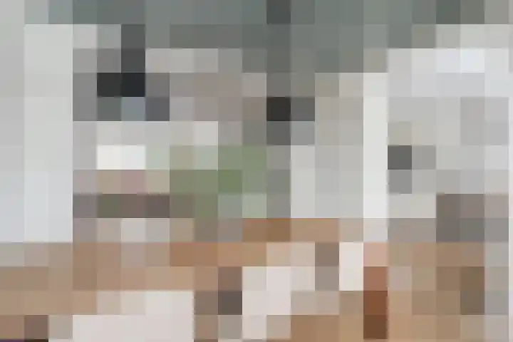 Hazelaar 33 Geldrop thumbnail 19