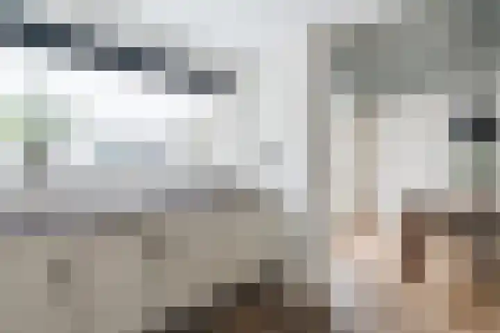 Hazelaar 33 Geldrop thumbnail 22