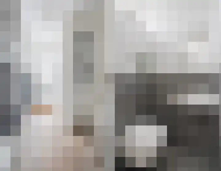 Hazelaar 33 Geldrop thumbnail 24