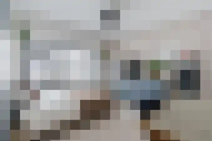 Hazelaar 33 Geldrop thumbnail 25