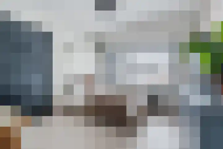 Hazelaar 33 Geldrop thumbnail 26