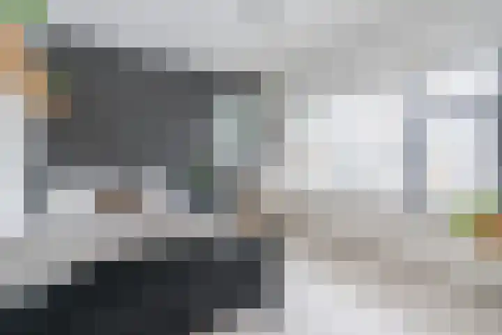 Hazelaar 33 Geldrop thumbnail 27