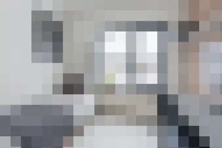 Hazelaar 33 Geldrop thumbnail 28