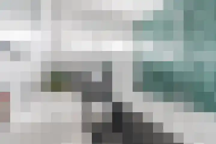 Hazelaar 33 Geldrop thumbnail 29