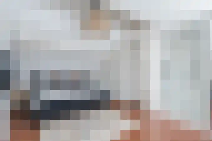 Hazelaar 33 Geldrop foto 3