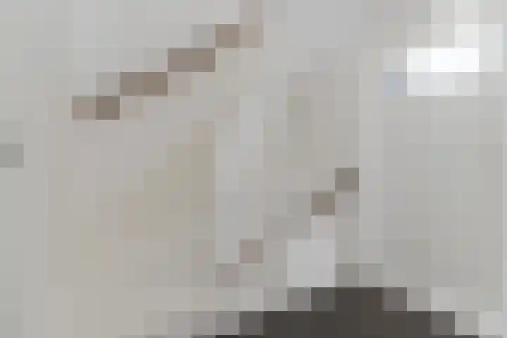 Hazelaar 33 Geldrop thumbnail 32