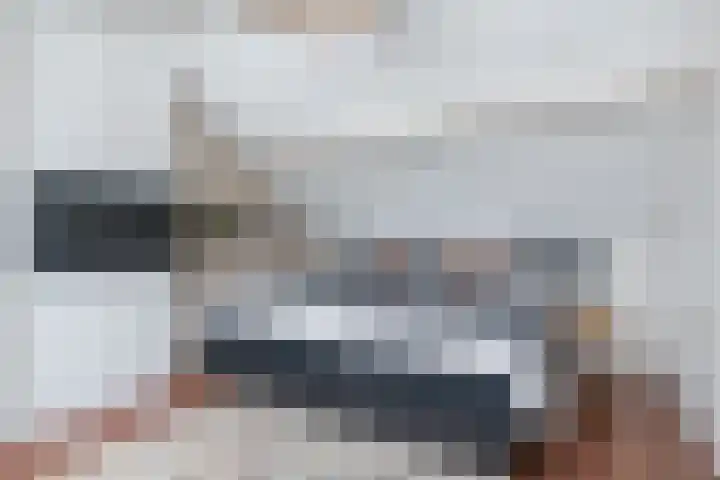 Hazelaar 33 Geldrop thumbnail 33