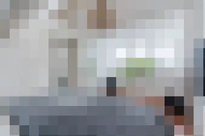 Hazelaar 33 Geldrop thumbnail 35