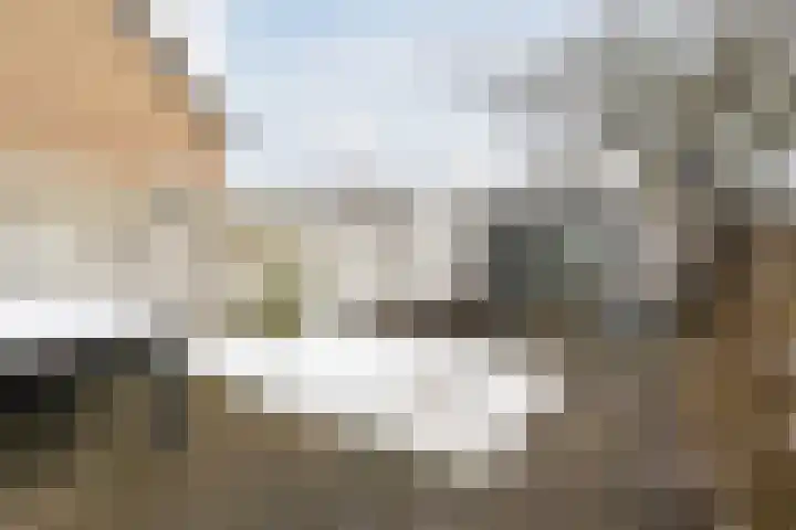 Hazelaar 33 Geldrop thumbnail 39