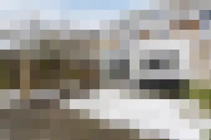 Hazelaar 33 Geldrop thumbnail 4