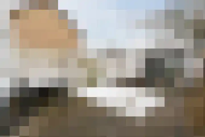 Hazelaar 33 Geldrop thumbnail 40