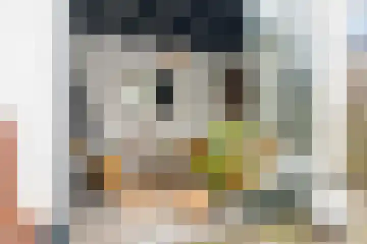 Hazelaar 33 Geldrop thumbnail 41