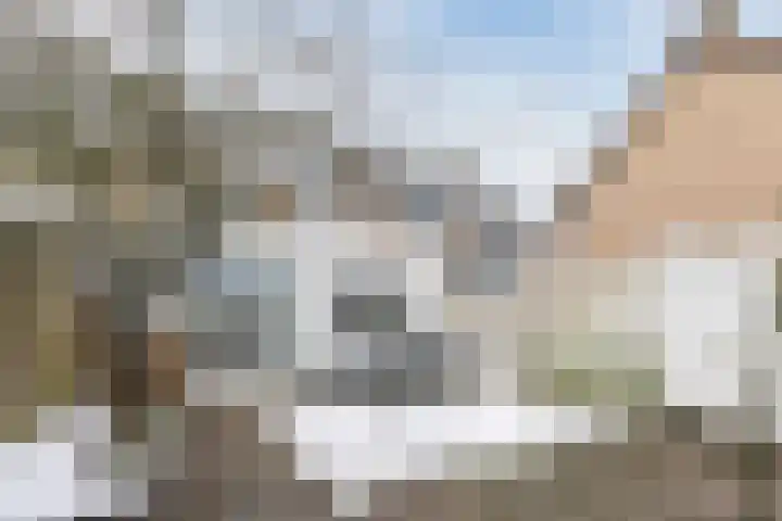 Hazelaar 33 Geldrop thumbnail 42