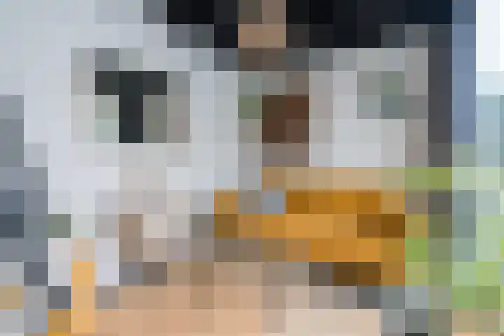 Hazelaar 33 Geldrop thumbnail 43