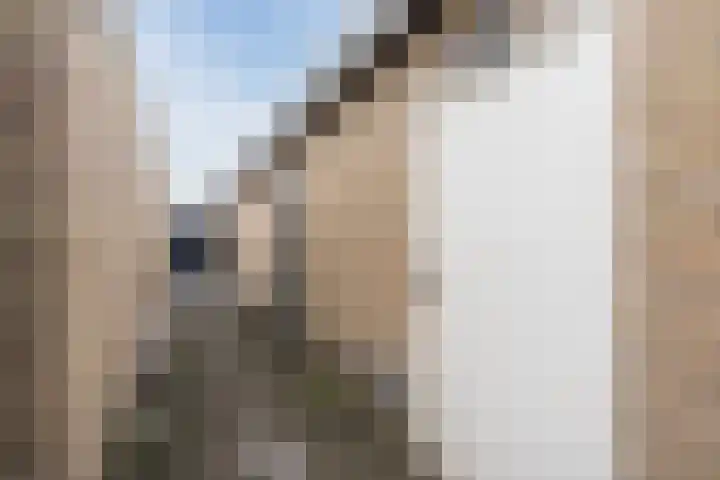 Hazelaar 33 Geldrop thumbnail 46