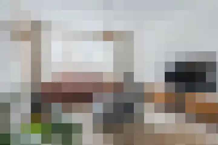 Hazelaar 33 Geldrop thumbnail 8
