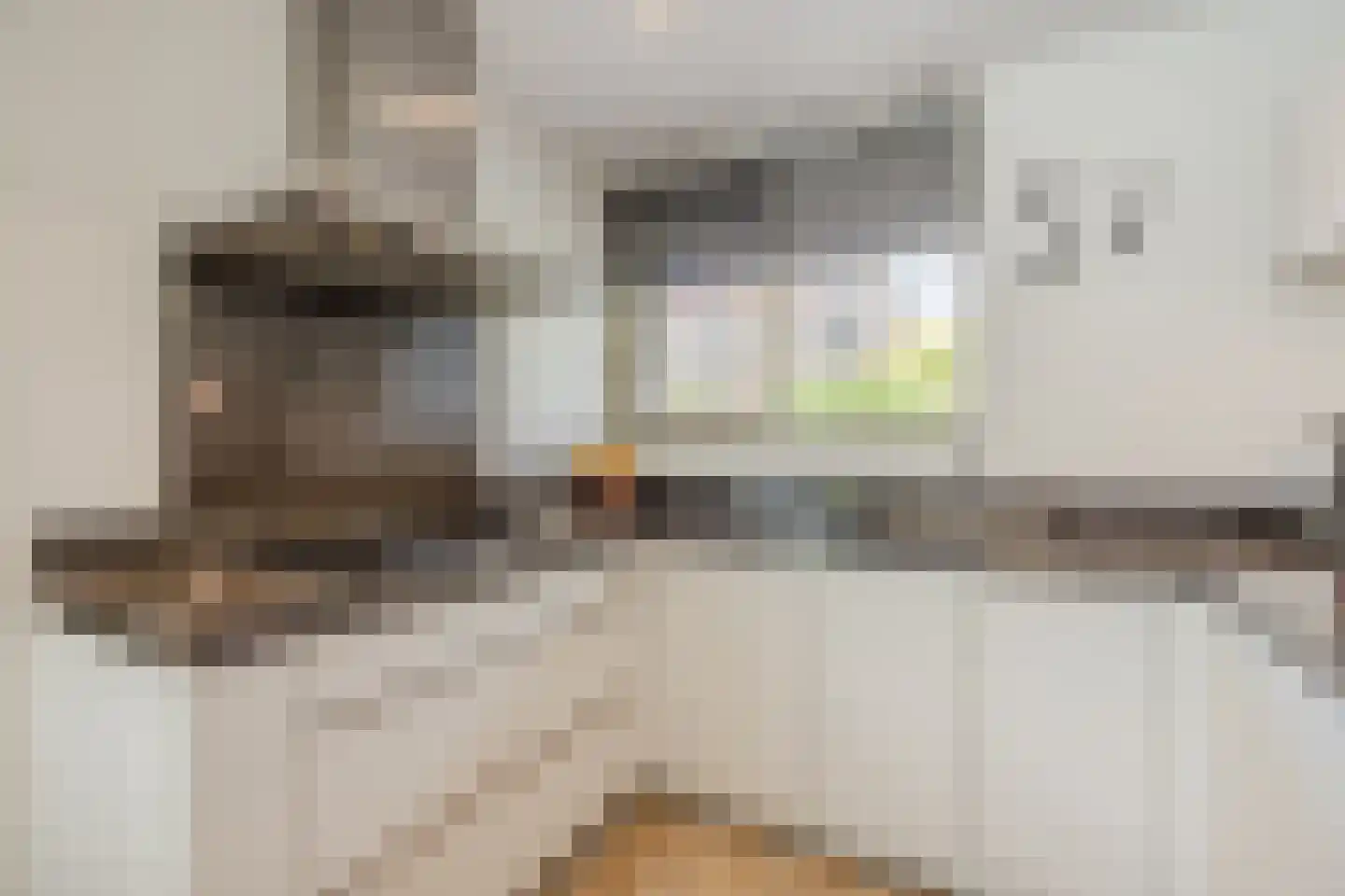 Hazelaar 33 Hellevoetsluis thumbnail 11