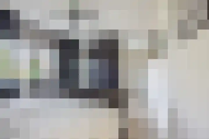 Hazelaar 33 Hellevoetsluis thumbnail 18