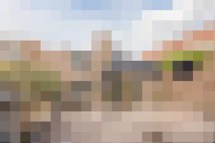 Hazelaar 33 Hellevoetsluis thumbnail 41