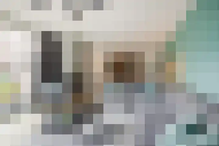 Hazelaar 33 Hellevoetsluis thumbnail 5