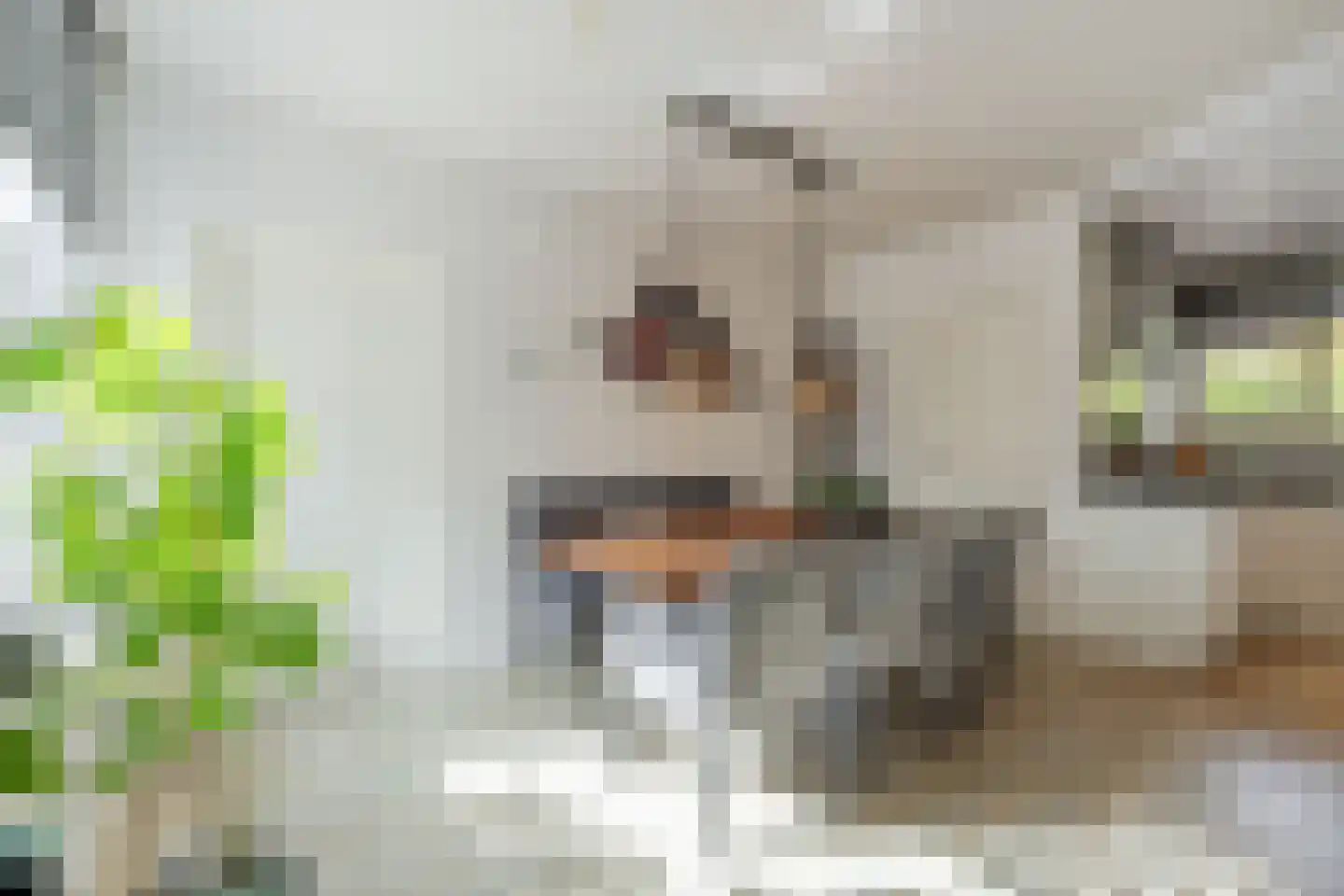 Hazelaar 33 Hellevoetsluis thumbnail 7