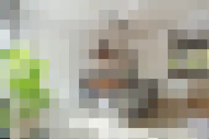 Hazelaar 33 Hellevoetsluis thumbnail 7