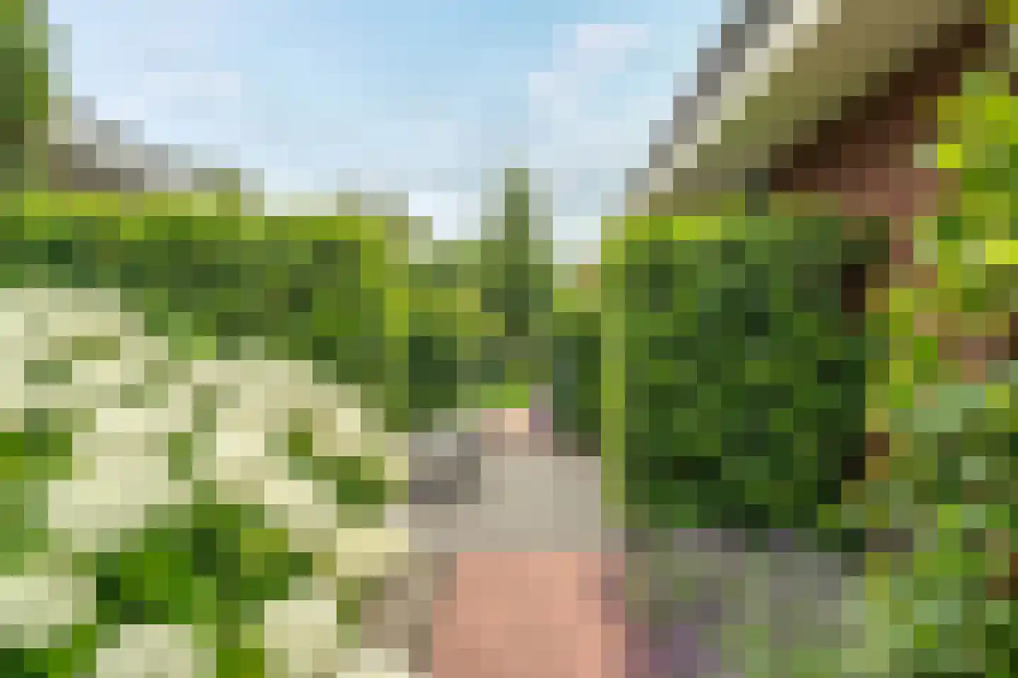 Hazelaar 38 Giethoorn thumbnail 52