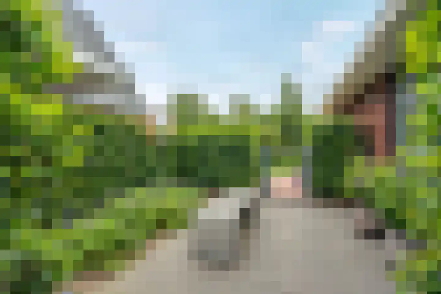 Hazelaar 38 Giethoorn thumbnail 53