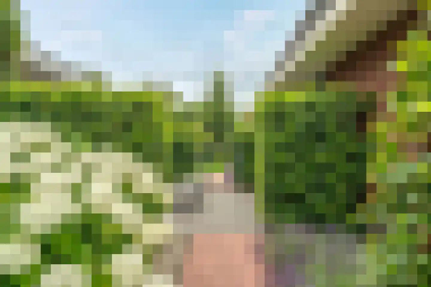 Hazelaar 38 Giethoorn thumbnail 55