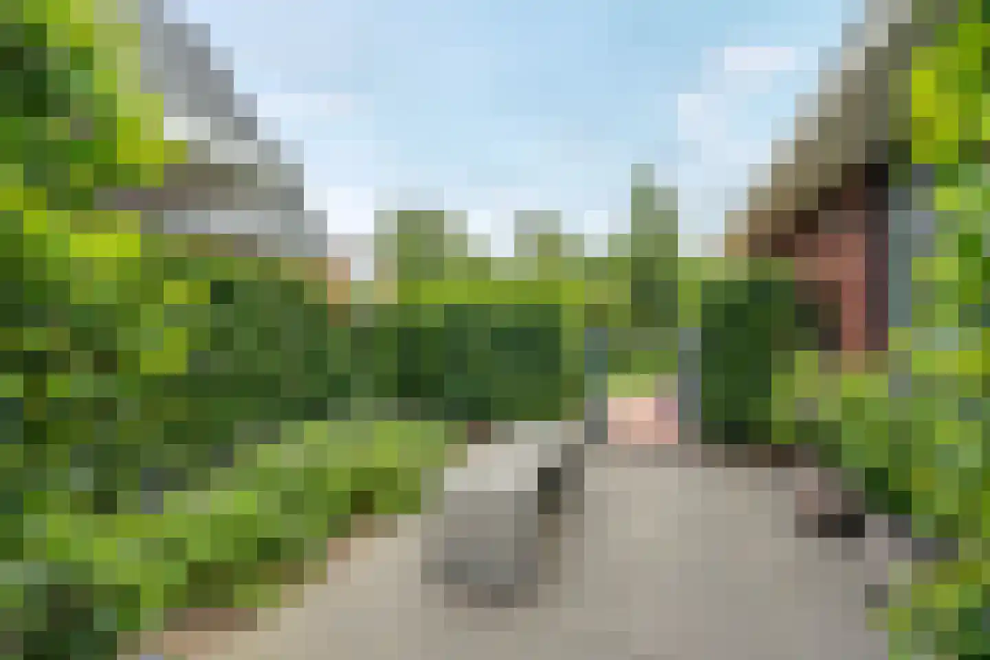 Hazelaar 38 Giethoorn thumbnail 56