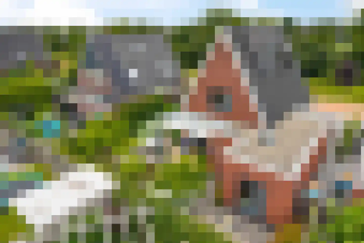 Hazelaar 38 Giethoorn thumbnail 58