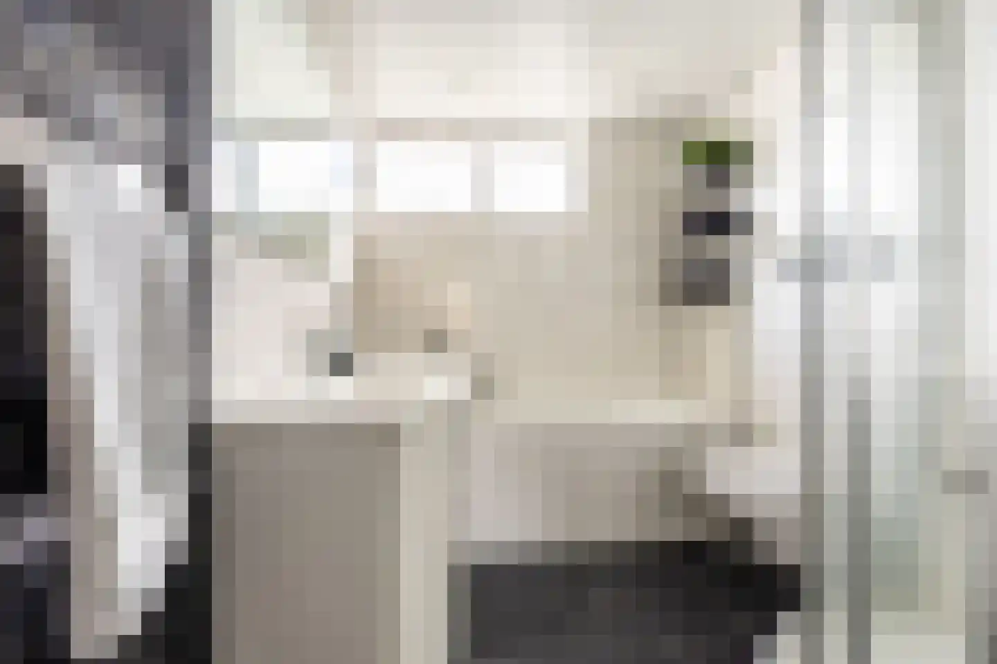 Hazelaar 4 Helvoirt thumbnail 16