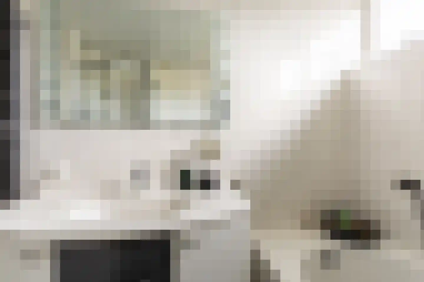 Hazelaar 4 Helvoirt thumbnail 17
