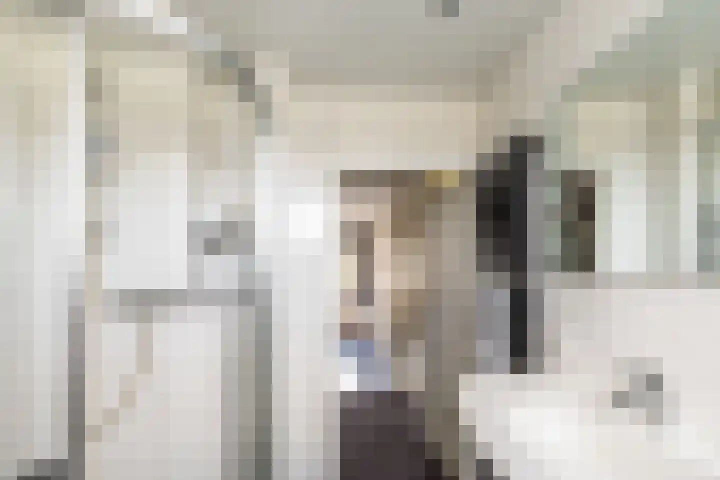 Hazelaar 4 Helvoirt thumbnail 18