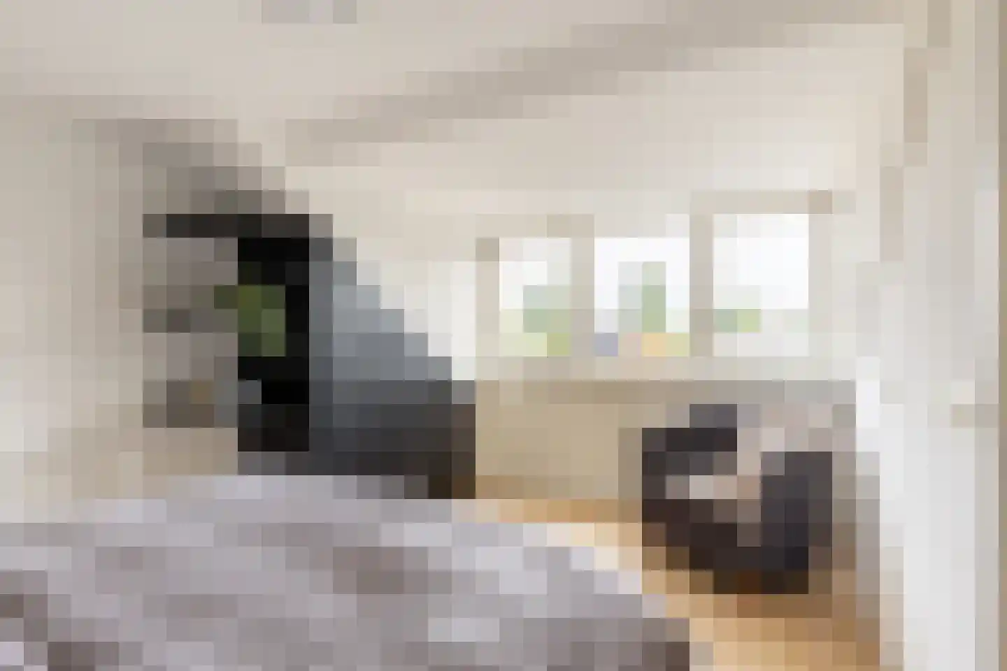 Hazelaar 4 Helvoirt thumbnail 25