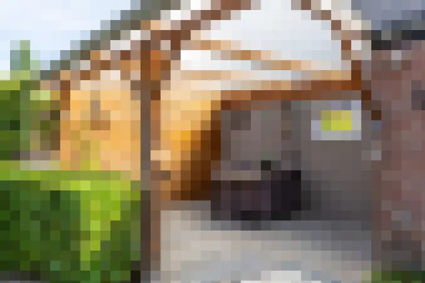 Hazelaar 4 Helvoirt thumbnail 32