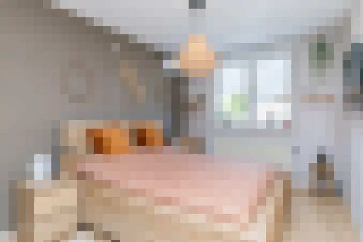 Hazelaar 41 Brunssum thumbnail 32