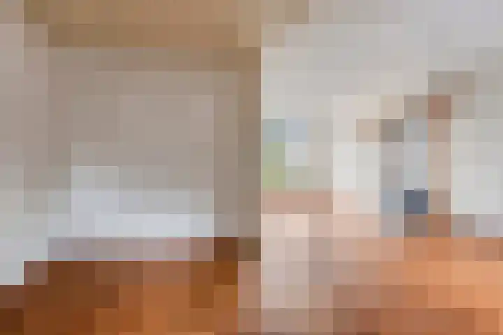 Hazelaar 50 Geldrop thumbnail 15