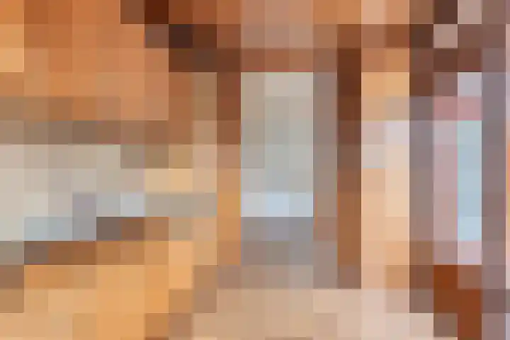 Hazelaar 50 Geldrop thumbnail 16