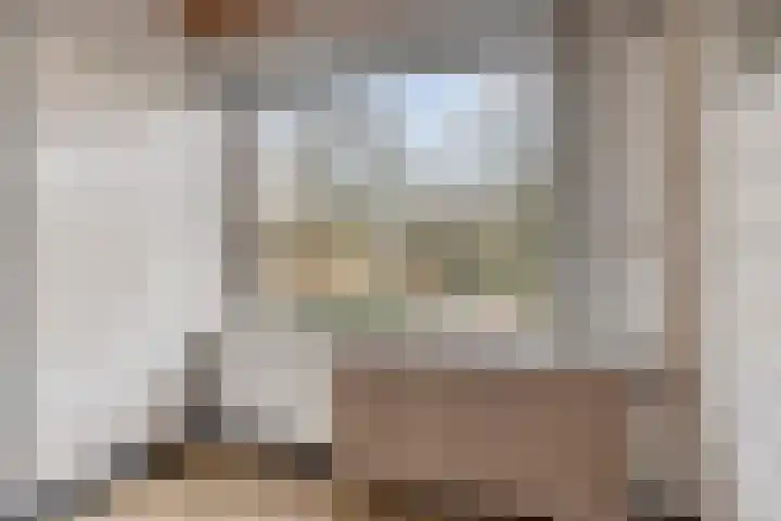 Hazelaar 50 Geldrop thumbnail 18