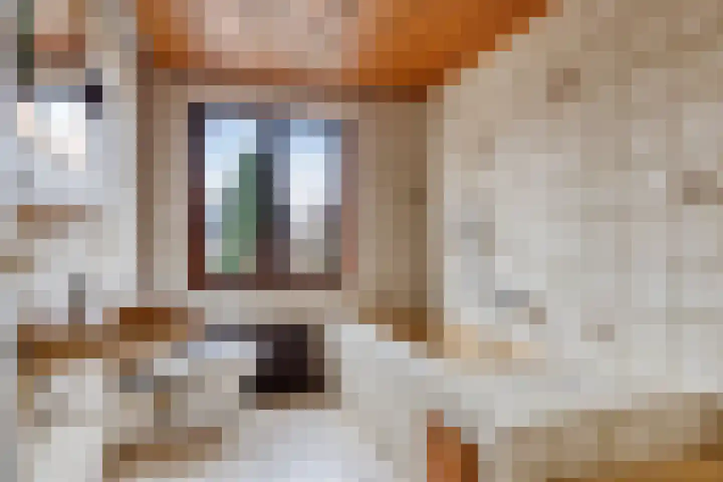 Hazelaar 50 Geldrop thumbnail 23